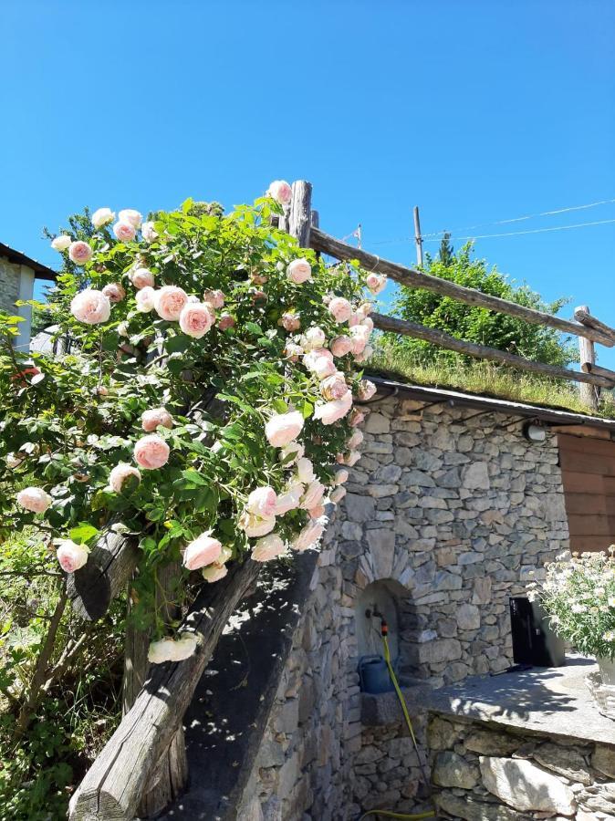 Affittacamere La Lea Roccaforte Mondovi ภายนอก รูปภาพ